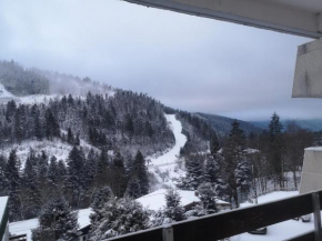 La Bresse OURSON